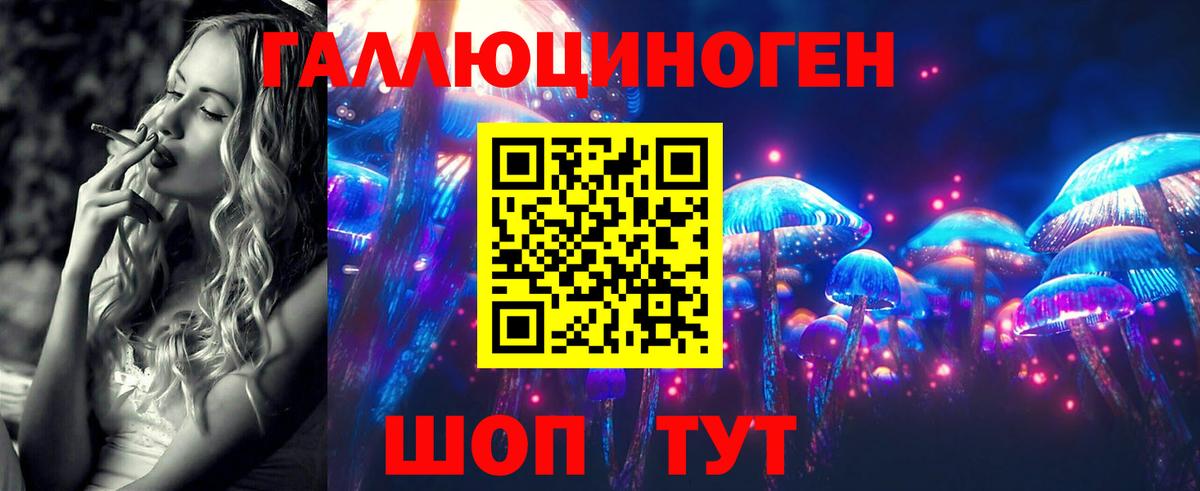 Галлюциногенные грибы прущие грибы  Вход с VPN  Камышлов 