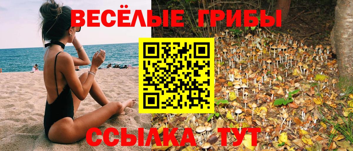 Псилоцибиновые грибы GOLDEN TEACHER Камышлов